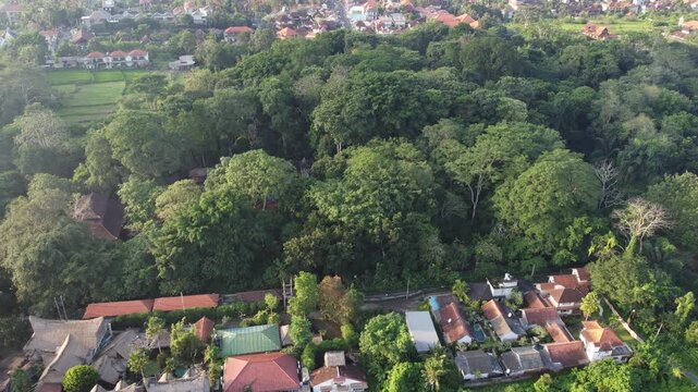 Aerial drone hovering above the Sacred Monkey Forest Sanctuary in Ubud, Bali, Indonesia.