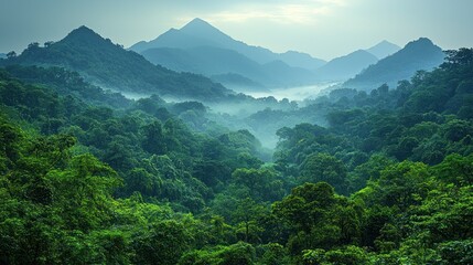 Obraz premium Misty Mountain Majesty: Lush Green Forest Landscape with Atmospheric Haze