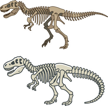 Illustration of dinosaur skeletons in side view, showcasing fossilized bones of prehistoric reptiles for educational and scientific reference.