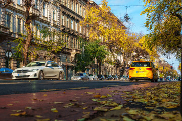 Fototapeta premium Autumn street scene in Budapest with yellow leaves on the pavement and cars driving past historic European architecture during a sunny day in the city center