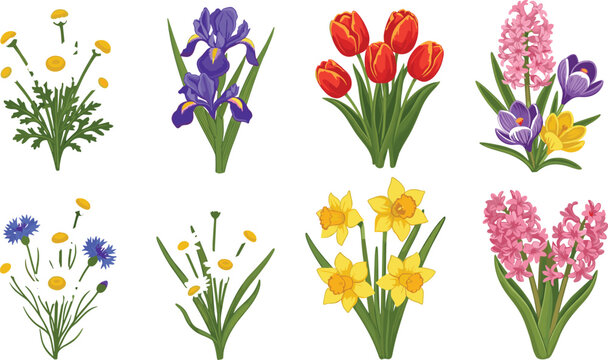 Flower Bouquet Icon Set Featuring Colorful Tulips, Daffodils, Irises, and Hyacinths for Spring, Garden, and Floral Designs