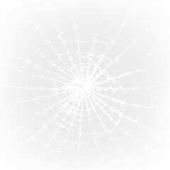 Fototapeta premium Web design showing a detailed pattern of a spider web on a transparent background during daylight hours