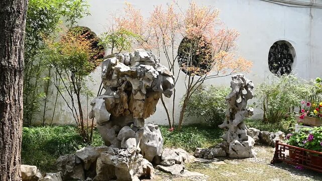 Traditional Chinese garden in Suzhou featuring ornate Taihu limestone scholar rocks, bamboo, spring blossoms, and decorative oval window openings in white courtyard walls.