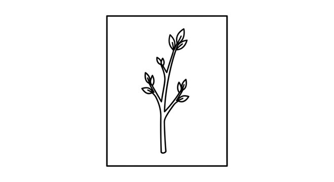 Simple Line Art of a Young Tree Branch with Leaves