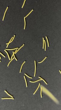 Uncooked broken spaghetti noodles slowly falling onto a dark background creating a textured food pattern, high quality macro ingredient footage ready for cooking