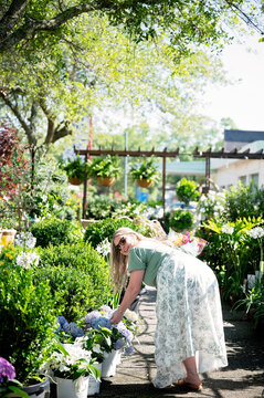 Woman bending to pick hydrangeas in sunny Fairhope garden center
