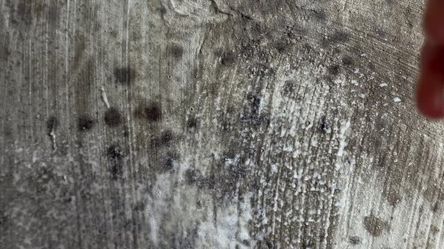 Person spraying powerful cleaning foam on a dirty concrete wall with black mold, effectively removing damp fungus and mildew for professional home maintenance and restoration