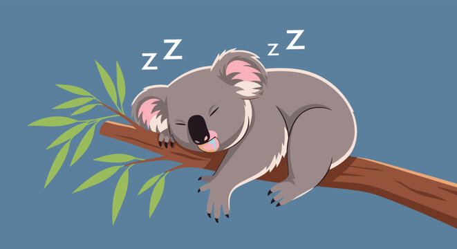 Adorable koala sleeping on a branch with eucalyptus leaves against a blue background representing a peaceful night sleep.