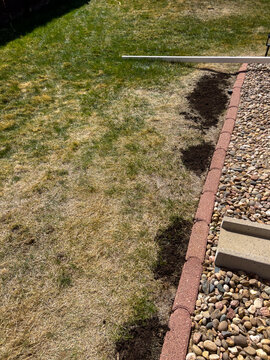 Narrow trench beside landscaped yard stone border