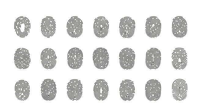 Set of various human fingerprint patterns in black ink on a white background for identification, forensic science, and security purposes.