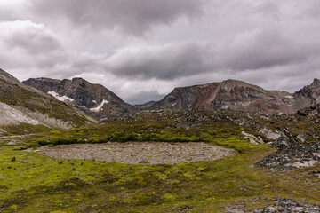 Fototapeta premium High altitude alpine tundra with green moss and a dry seasonal pond bed in the Andes