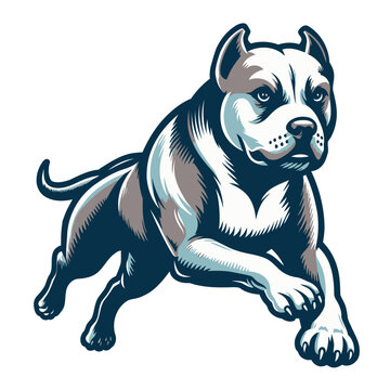 American pitbull terrier vector and illustration.