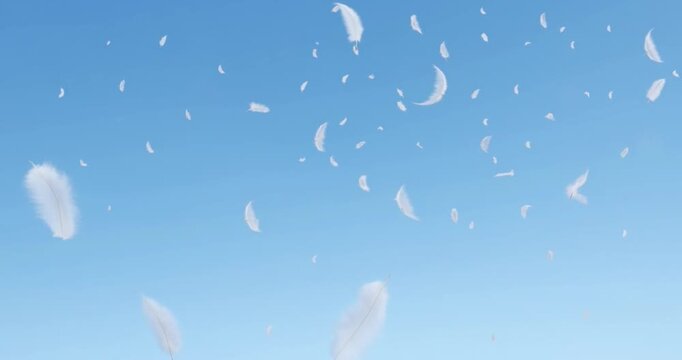 Feather floating across cloudless blue sky with gentle wind, airy serene motion and lightness soft white plumage drifting in peaceful, minimalist outdoor scene evoking calm and delicate texture