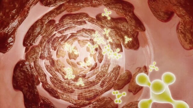 Intestinal probiotics clean viruses and bacteria in the intestines, remove stool and food residues, promote intestinal peristalsis, and enhance human immunity. Digestive system health concept visualiz