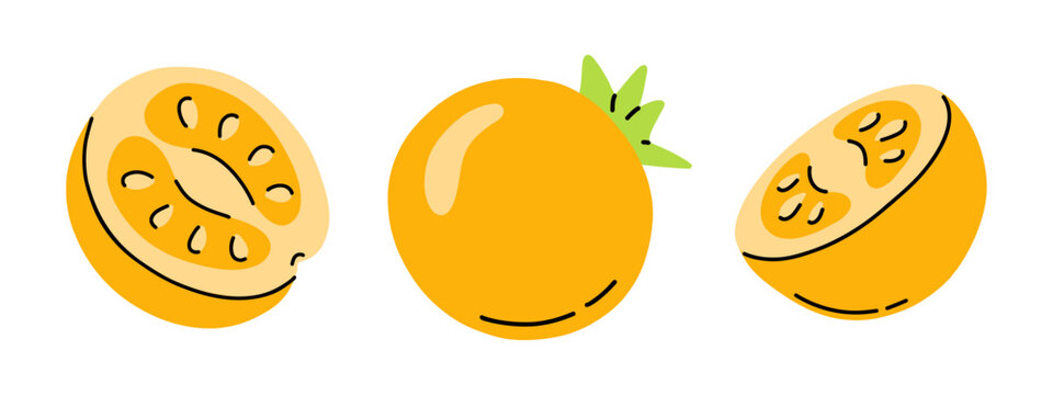 Vector set of whole and sliced yellow tomato with seeds on white background. Bright juicy tomato vegetable illustration collection for summer recipe, salad ingredient and fresh organic food design.