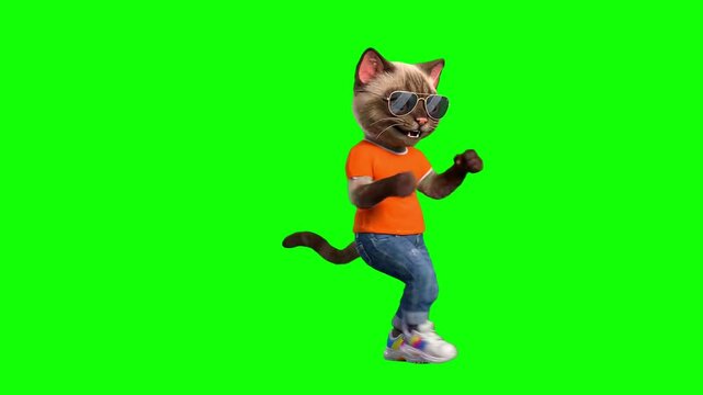 The Siamese cat, dressed in everyday clothes, is dancing on a green background.
