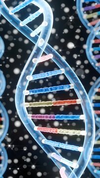 DNA Double Helix Rotation: A glowing 3D DNA double helix rotates gracefully in suspended space displaying anatomically accurate base pairs with translucent crystalline structure.