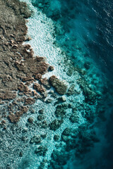 Obraz premium aerial view of tropical coral reef in crystal clear blue water, pristine coral reef paradise with turquoise lagoon from above, vibrant reefscape island getaway with clear ocean and giant corals
