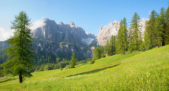 green pasture with wildflowers. view to Sella mountain group and Mittagstal valley, dolomites
