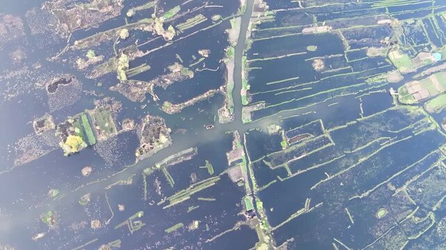 Aerial top-down bird's-eye view of the abstract geometric patterns formed by the floating gardens and marshlands of Dal Lake in Srinagar, Kashmir, showcasing unique aquatic agriculture.
