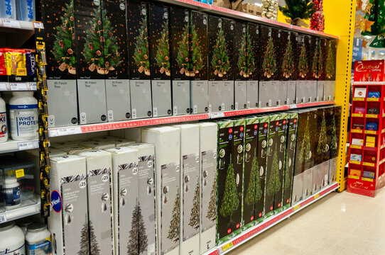 Christmas trees for sale on shelves in a Tesco store
