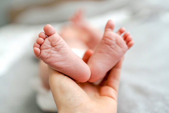 Parent hand holding newborn foot indoors with tenderness