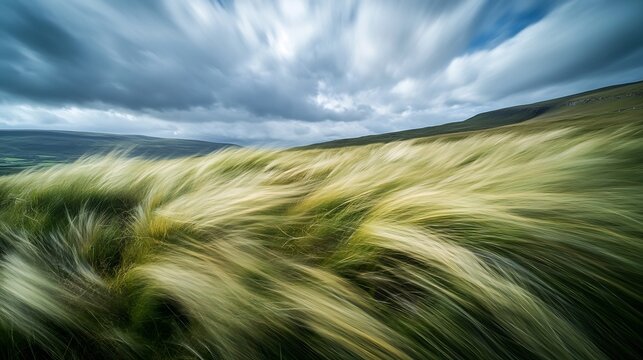 Windy day on a grassy plain with tall grass bending under gusts of wind and clouds moving quickly across the sky The dynamic scene captures the feeling of movement and natural energy
