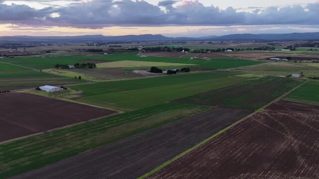 Aerial video flying over green and cultivated fields revealing colourful sunset over Morpeth in NSW, Australia. Scenic rural landscape showing farmland patterns and vibrant evening sky.