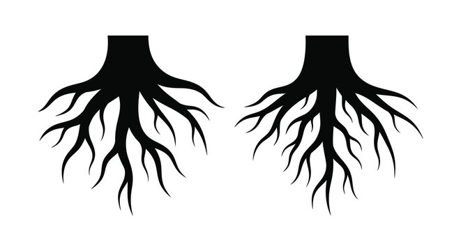 Two tree root silhouettes against a white background silhouette