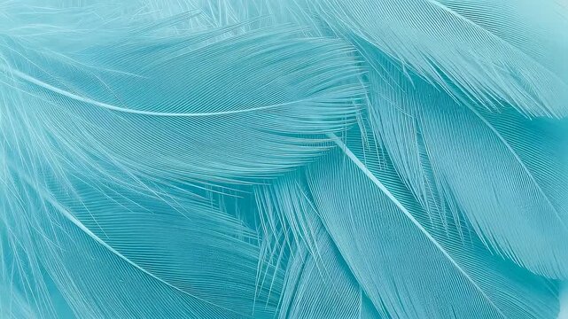Light blue feather background with detailed textures. Macro abstract pattern of bird plumage showing fluffy layers. Decorative element for elegant graphic design.