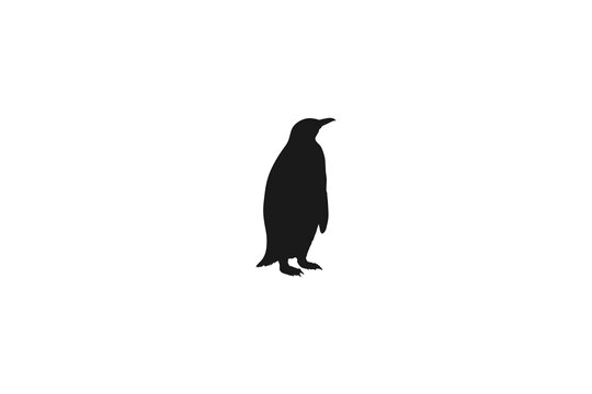 Emperor Penguin Standing Silhouette Antarctic Wildlife
