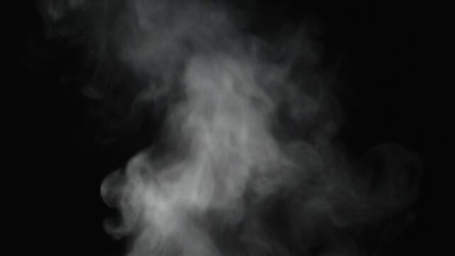 Dynamic wisps of white steam and smoke rise against a dark backdrop, perfect for abstract motion graphics, culinary effects, or atmospheric overlays.