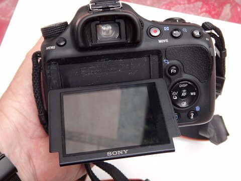 Hand holding Sony Alpha digital camera with LCD screen