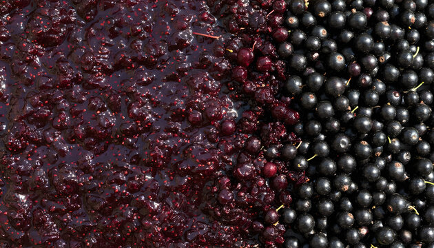 Antioxidant rich blackcurrant berries and fruit preserve. currant background. currant jam. currant marmalade. berry background. sweet jam. currant and jam texture.