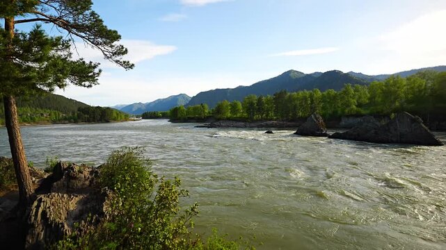 Dragon Teeth rocks in Katun River near Elekmonar Chemal Altai Republic Russia mountain landscape