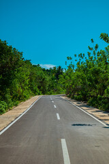 Naklejka premium Empty asphalt road stretching through a lush tropical landscape under a clear blue sky.