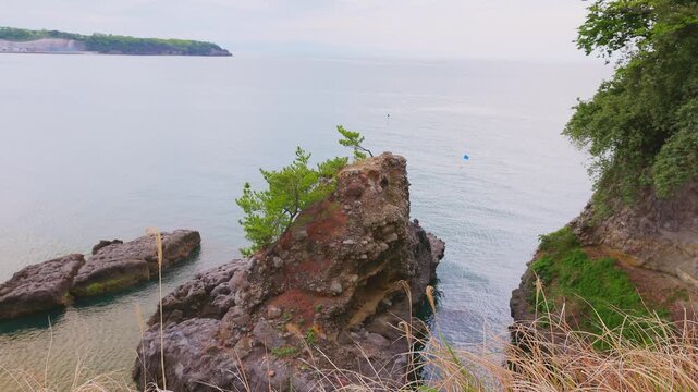 大分の海岸線、奇岩に自生する松と穏やかな海の風景