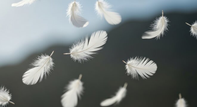 White fluffy feathers float gently against a blurred, mountain backdrop