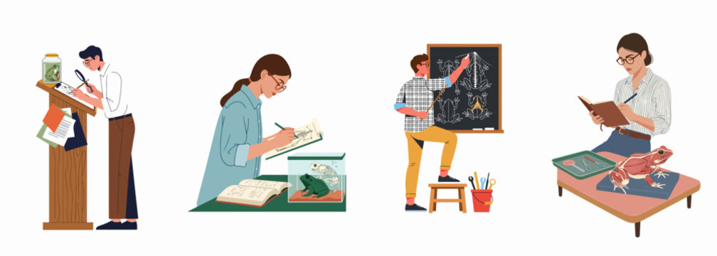 Set of illustrations showing students and scientists studying frog anatomy, dissection, and biology through observation, drawing, and research.