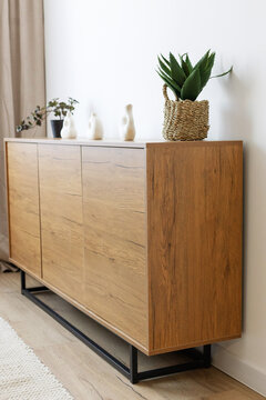 Modern RTV cabinet with plants and decor