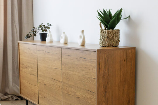 Modern RTV cabinet with plants and decor