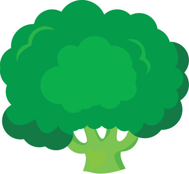 broccoli cartoon style