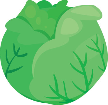 cabbage cartoon style