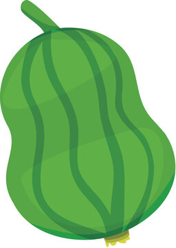 egyptian cucumber cartoon style