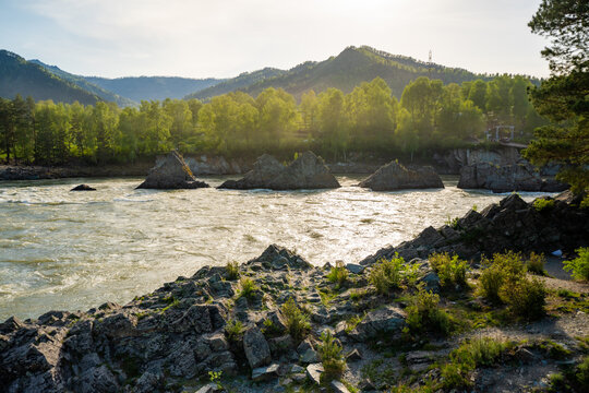 Dragon Teeth rocks in Katun River near Elekmonar Chemal Altai Republic Russia mountain landscape