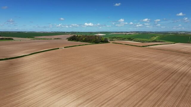 Freshly Ploughed Farmers Field and Copse in England
