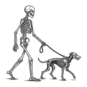 human skeleton walking a skeletal dog on a leash, blending humor, death, and pet care sketch engraving generative ai fictional character vector illustration. Scratch board imitation. Black and white.