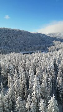 Aerial over Lake Cauma Caumasee vast forest blanketed in deep snow during winter