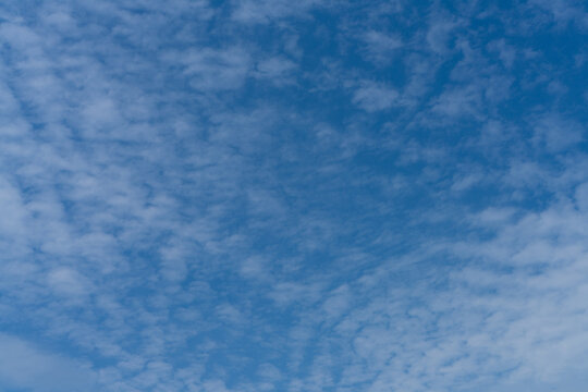 春の青空とうろこ雲