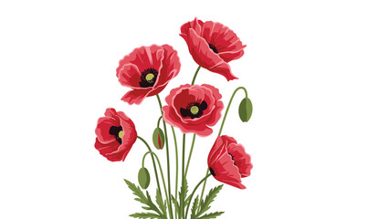 Obraz premium Group of bright red poppy flowers with green buds and stems isolated on a white background for nature and botanical illustrations.